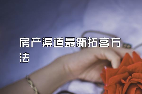 房产渠道最新拓客方法