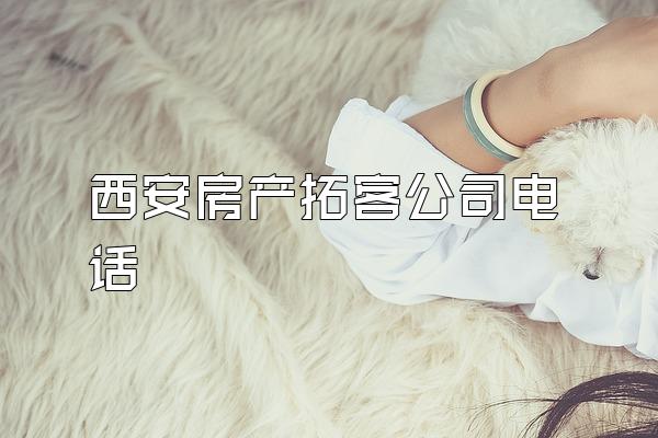 西安房产拓客公司电话