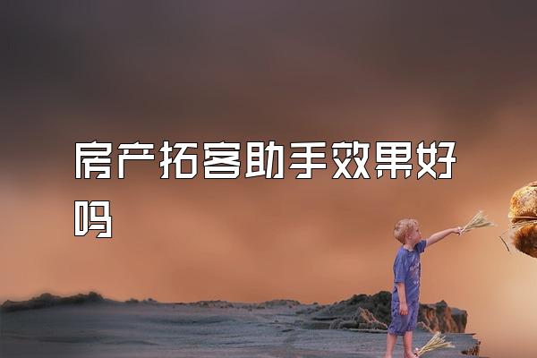 房产拓客助手效果好吗