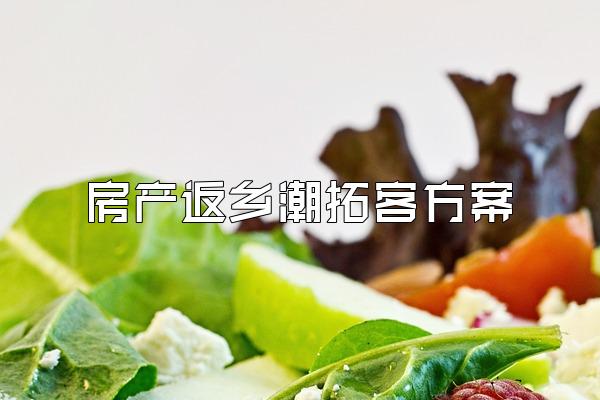 房产返乡潮拓客方案