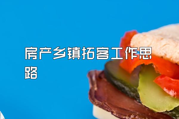 房产乡镇拓客工作思路