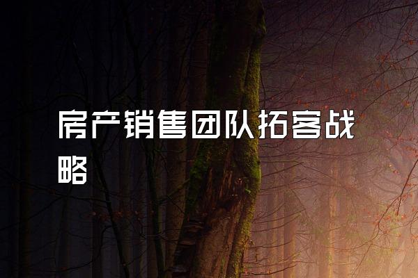 房产销售团队拓客战略