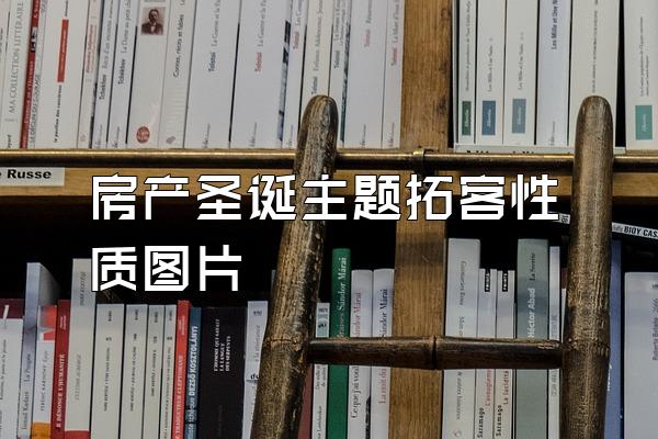 房产圣诞主题拓客性质图片