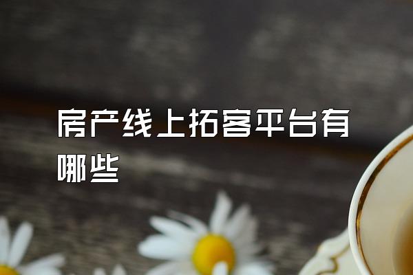 房产线上拓客平台有哪些