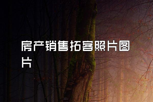 房产销售拓客照片图片