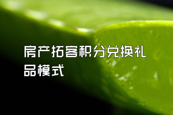 房产拓客积分兑换礼品模式