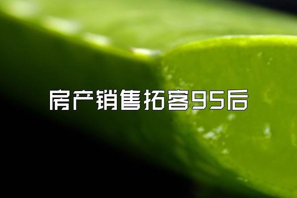 房产销售拓客95后