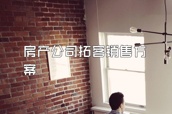 房产公司拓客销售方案