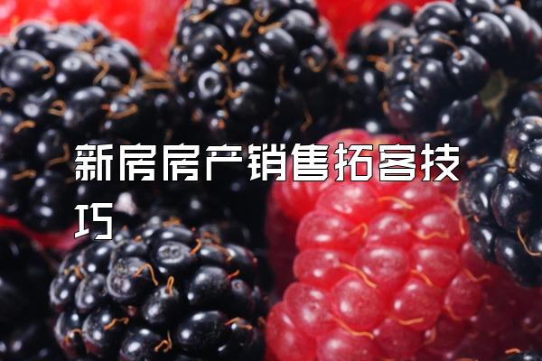 新房房产销售拓客技巧