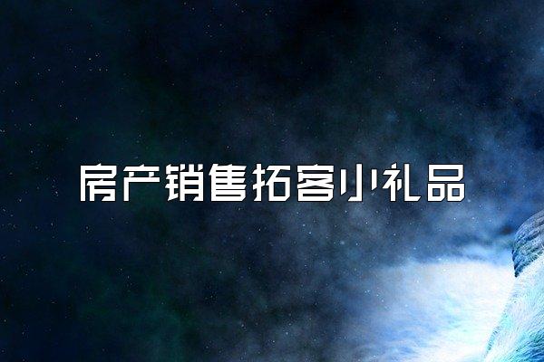 房产销售拓客小礼品