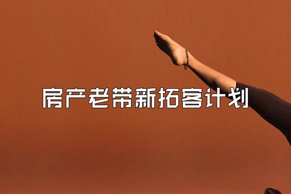 房产老带新拓客计划