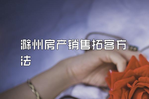 滁州房产销售拓客方法