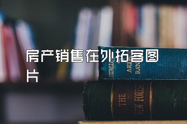 房产销售在外拓客图片