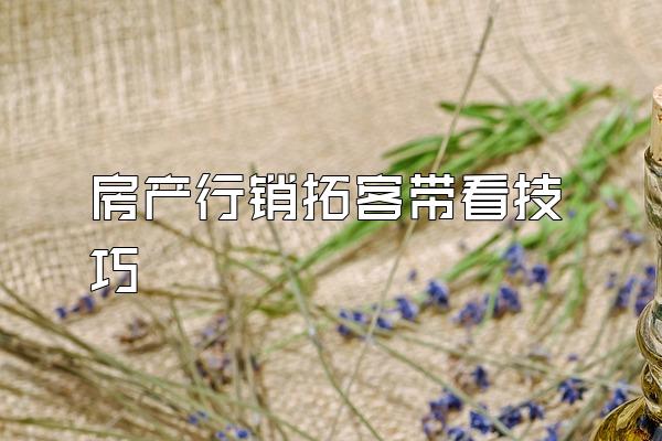 房产行销拓客带看技巧