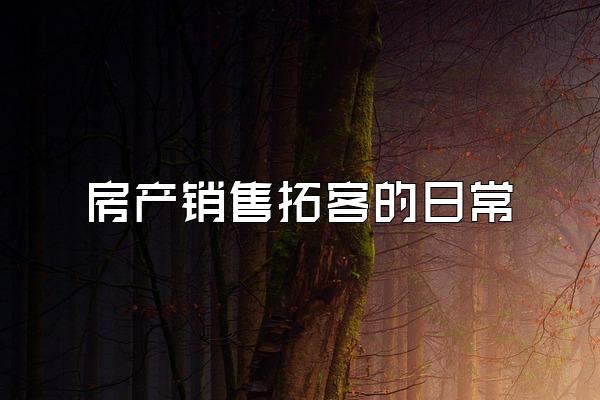 房产销售拓客的日常