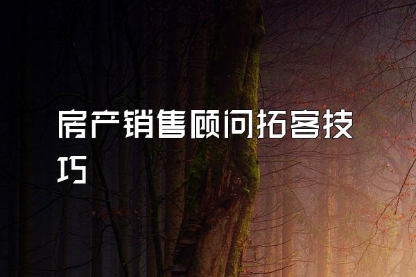 房产销售顾问拓客技巧