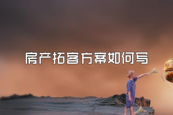 房产拓客方案如何写