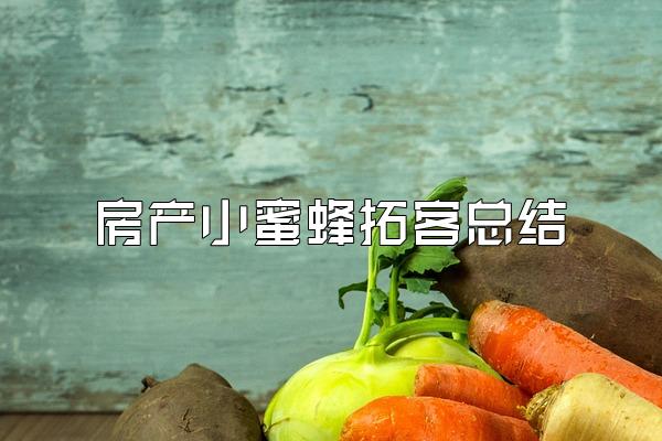 房产小蜜蜂拓客总结