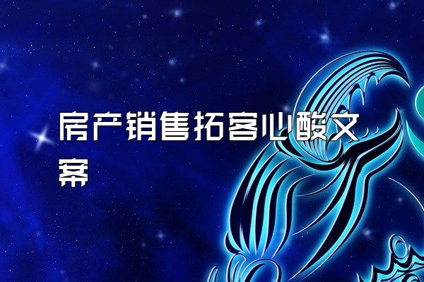 房产销售拓客心酸文案