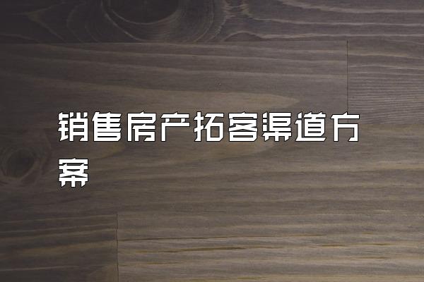 销售房产拓客渠道方案