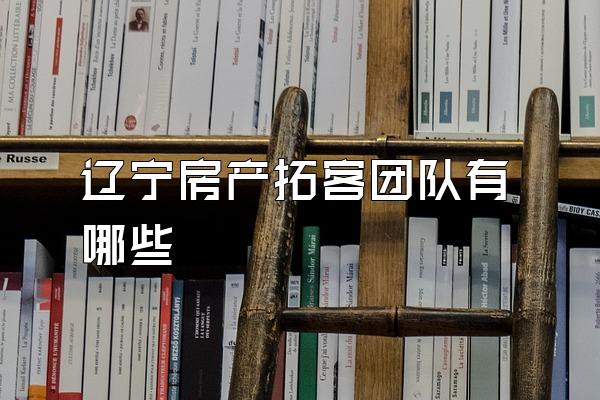 辽宁房产拓客团队有哪些
