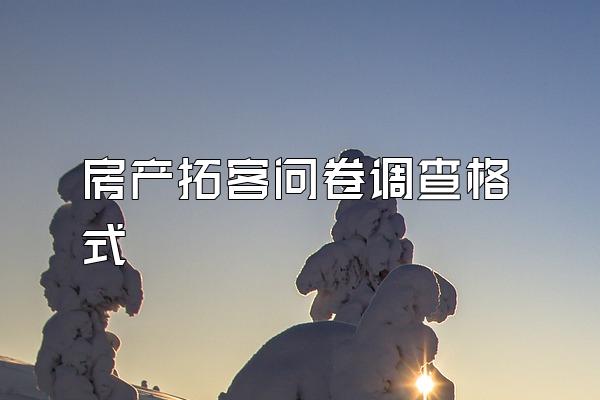 房产拓客问卷调查格式