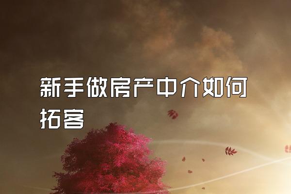 新手做房产中介如何拓客